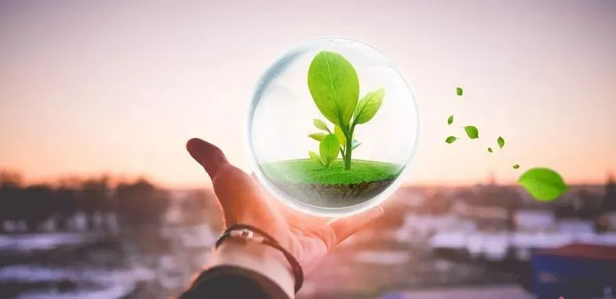 凯创感染类疾病诊断的三大利器:CRP、SAA和PCT
