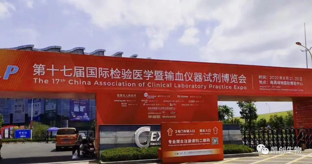 【2020CACLP】dcbox小金库官网现场报导