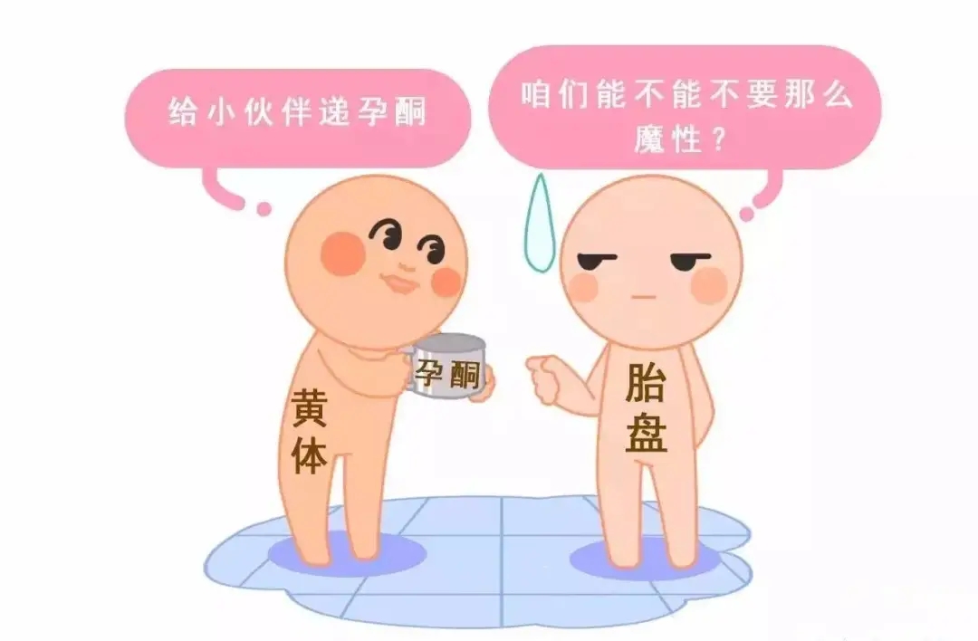 HCG和孕酮低一定会流产？备孕女性必须知道的孕早期“秘密”