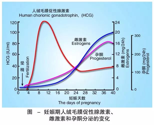 怀孕期间HCG低怎么办？